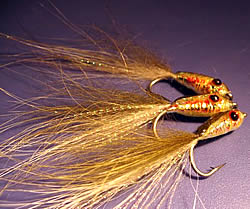 Fly